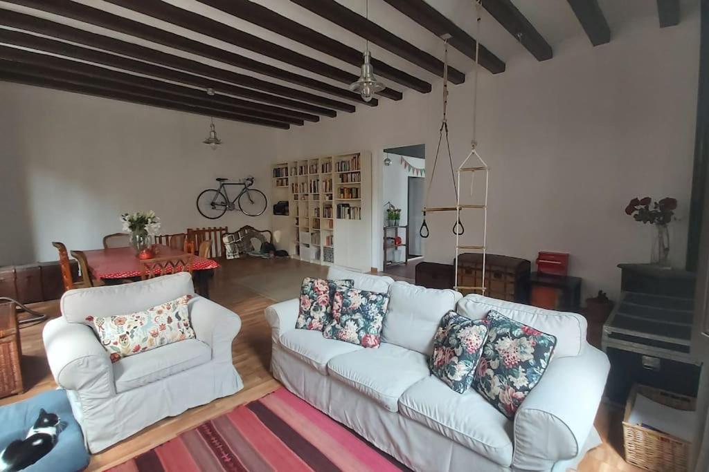 Small Room In Sants With Huge Terrace 巴塞罗那 外观 照片