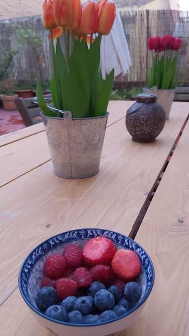 Small Room In Sants With Huge Terrace 巴塞罗那 外观 照片